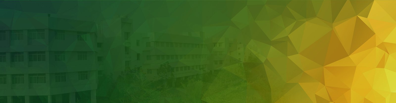 MM College of Physiotherapy